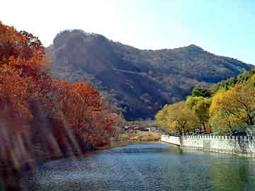 天天彩好彩天天免费，硅油沸点